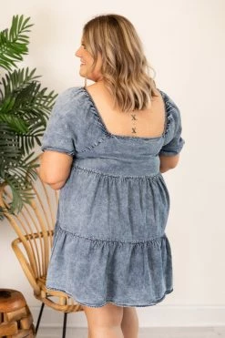 Best reviews of 🔥 Pink Lily Countryside Daydream Chambray 👗 Dress FINAL SALE 💯 -Cheap dresses Store 169026 15 650x