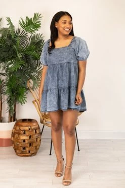 Best reviews of 🔥 Pink Lily Countryside Daydream Chambray 👗 Dress FINAL SALE 💯 -Cheap dresses Store 169026 17 650x