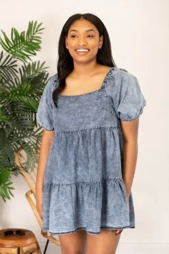 Best reviews of 🔥 Pink Lily Countryside Daydream Chambray 👗 Dress FINAL SALE 💯 -Cheap dresses Store 169026 18 650x