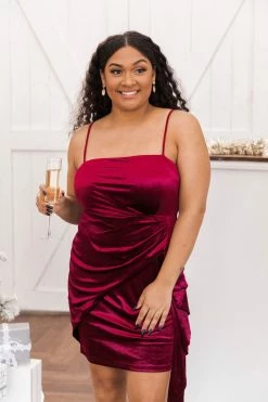 Promo β Pink Lily Everybody You Know Burgundy Velvet Tie Waist Mini π Dress FINAL SALE β