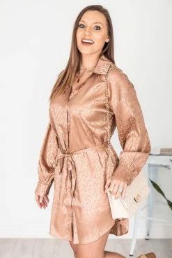 Discount 👍 Pink Lily This Is Goodbye Camel Leopard Satin 👕 Shirt 👗 Dress 💯 -Cheap dresses Store 178276 11 650x