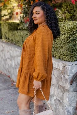 Brand new 🎁 Pink Lily Perfectly You Camel Lace Detail Mini 👗 Dress 🌟 -Cheap dresses Store 185320 10 74561f63 8763 417c b422 9c7a6ed0733e 650x