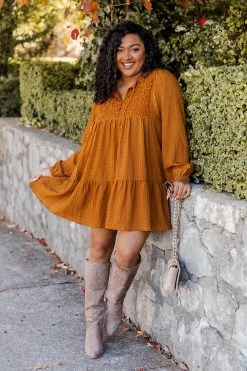 Brand new π Pink Lily Perfectly You Camel Lace Detail Mini π Dress π