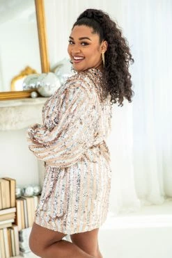 Buy 🤩 Pink Lily Diamonds In My Eyes Striped Sequin Mini 👗 Dress 🛒 -Cheap dresses Store 185958 diamondsinmyeyesstriped 180118 wrenclear 186968 love sagamegold 6 650x