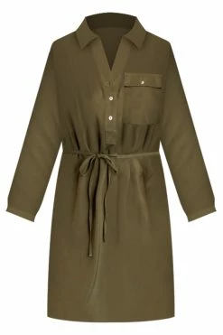 Buy 🎁 Pink Lily Learn To Fly Olive Button Front 👕 Shirt 👗 Dress FINAL SALE 🔥 -Cheap dresses Store LearnToFlyOliveButtonFrontShirtDress 650x